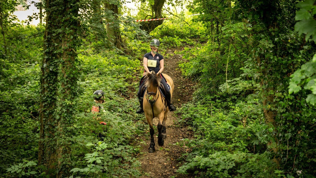 Photo of Others in Audinghen