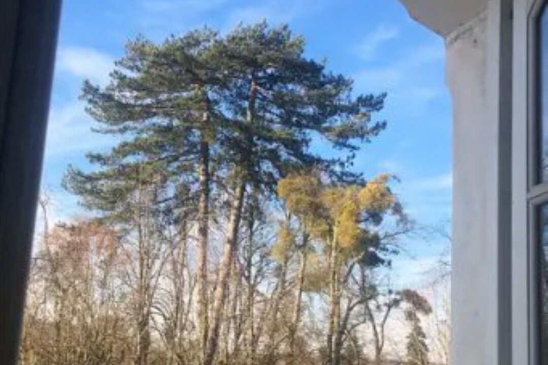 Photo of Others in Rambouillet