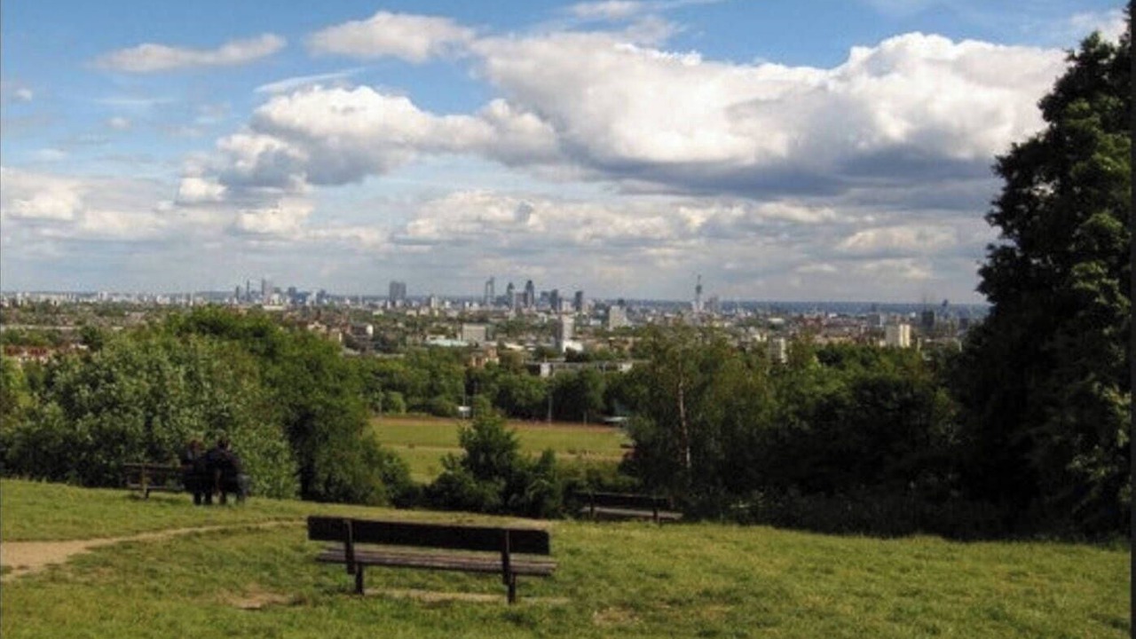 Photo of Others in Frognal and Fitzjohns