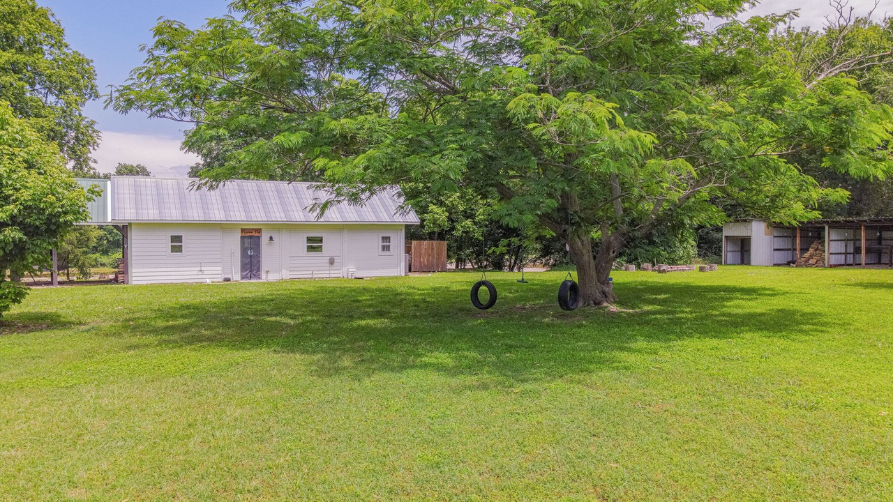 Photo of Outdoor in Noel