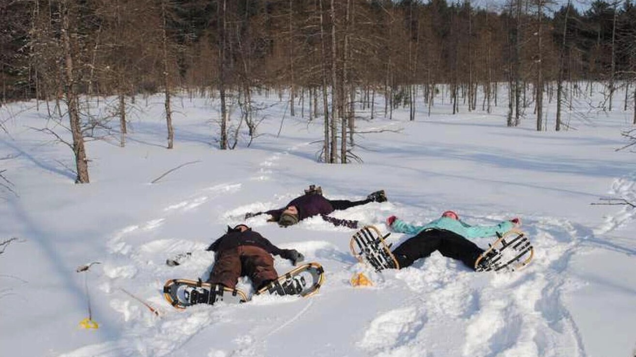 Photo of Others in Meacham