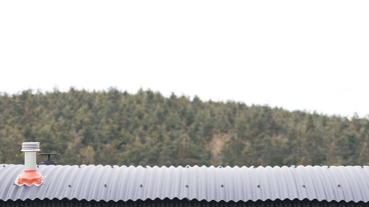 Photo of Outdoor in Bilsington