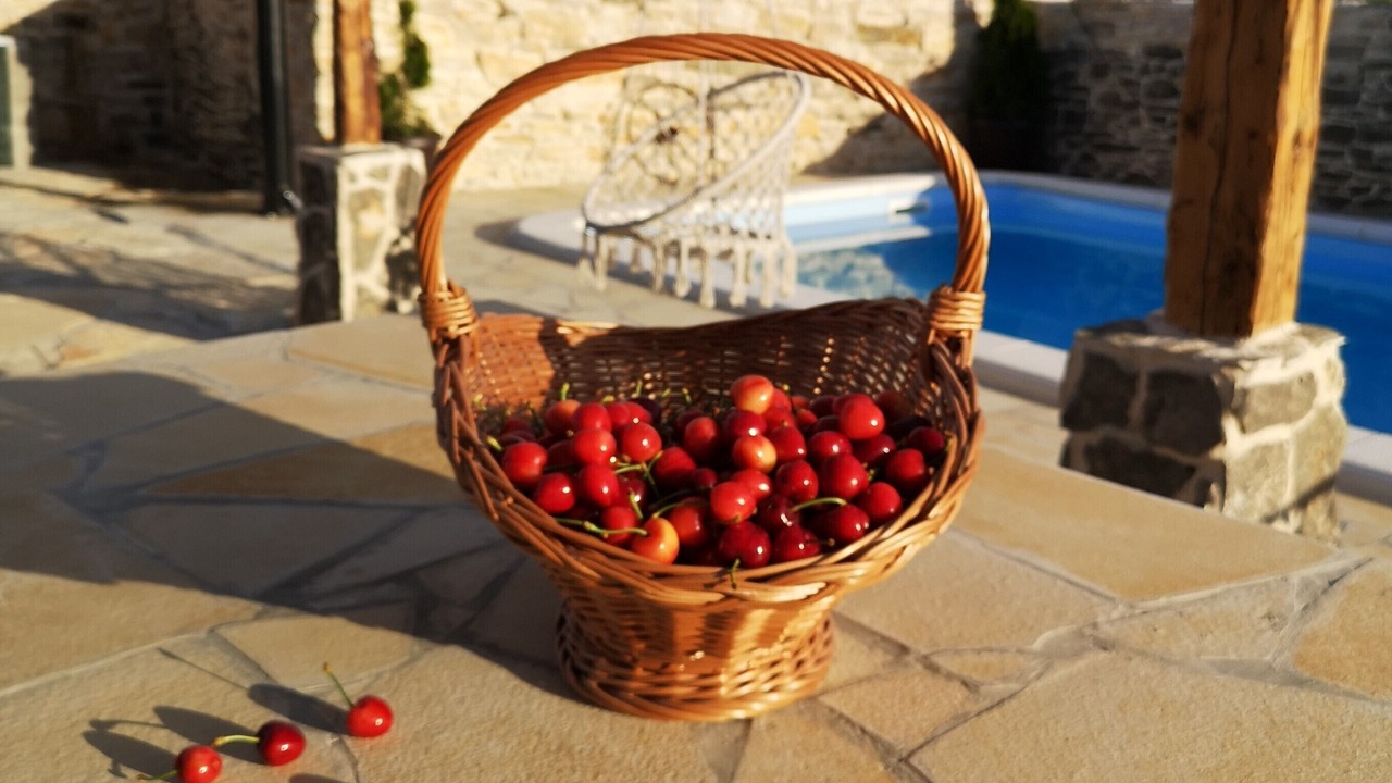 Photo of Outdoor in Benkovac