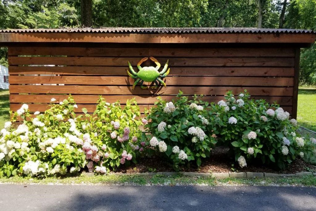 Photo of Outdoor in Laneview