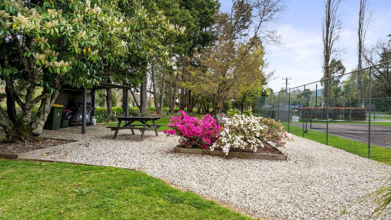 Photo of Outdoor in Bright