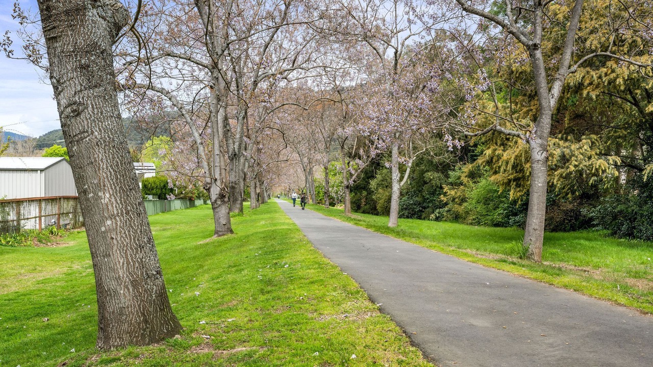 Photo of Outdoor in Bright