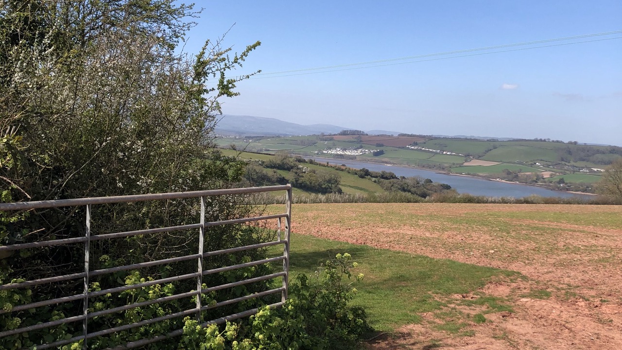 Photo of Others in Stokeinteignhead