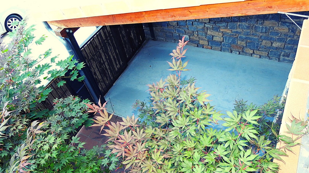 Photo of Outdoor in Biescas