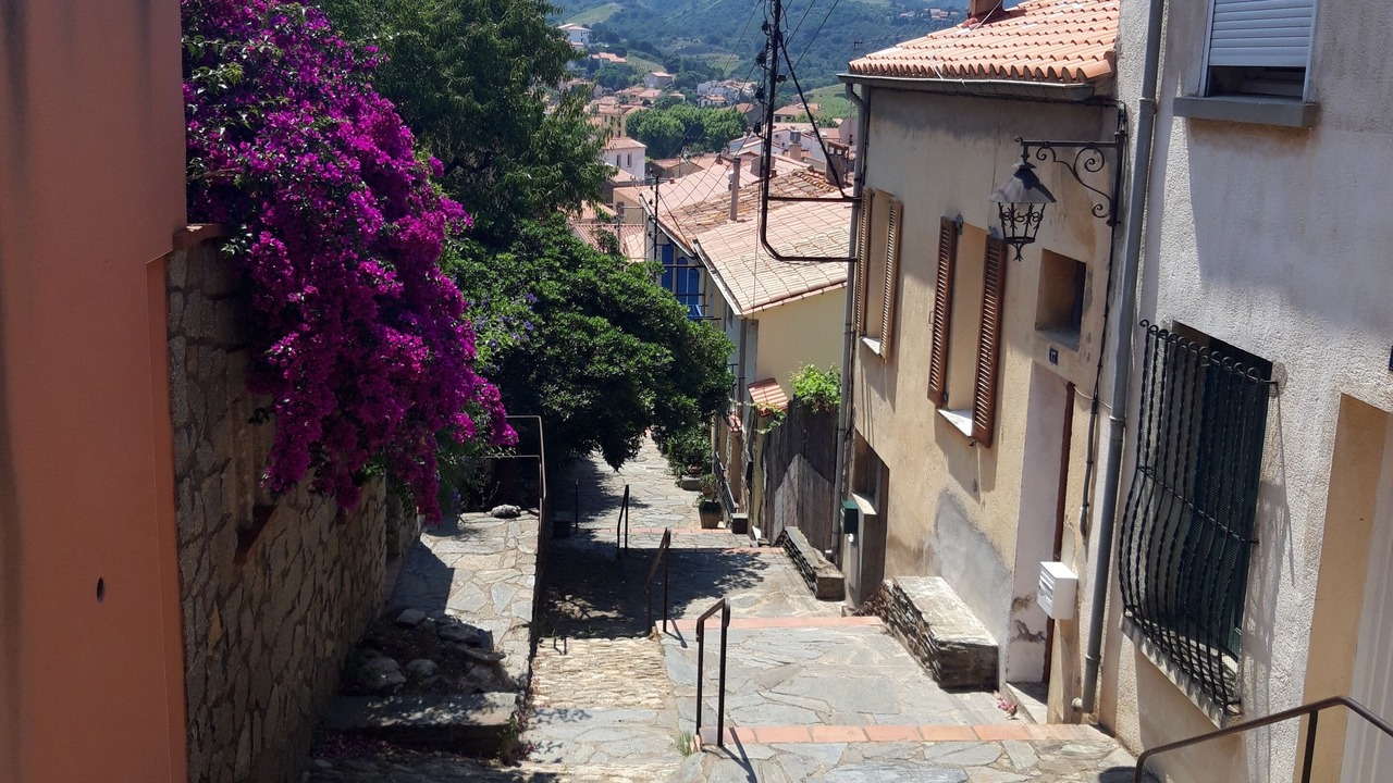 Photo of Others in Banyuls-sur-Mer