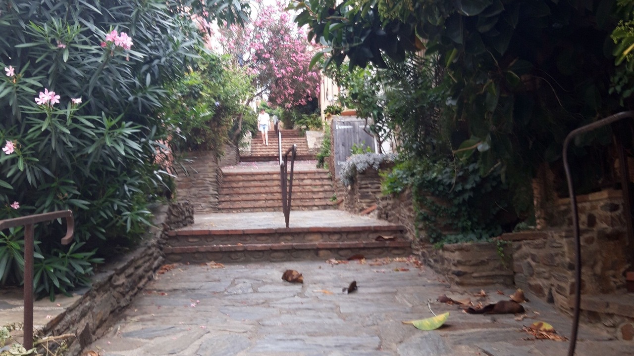 Photo of Outdoor in Banyuls-sur-Mer
