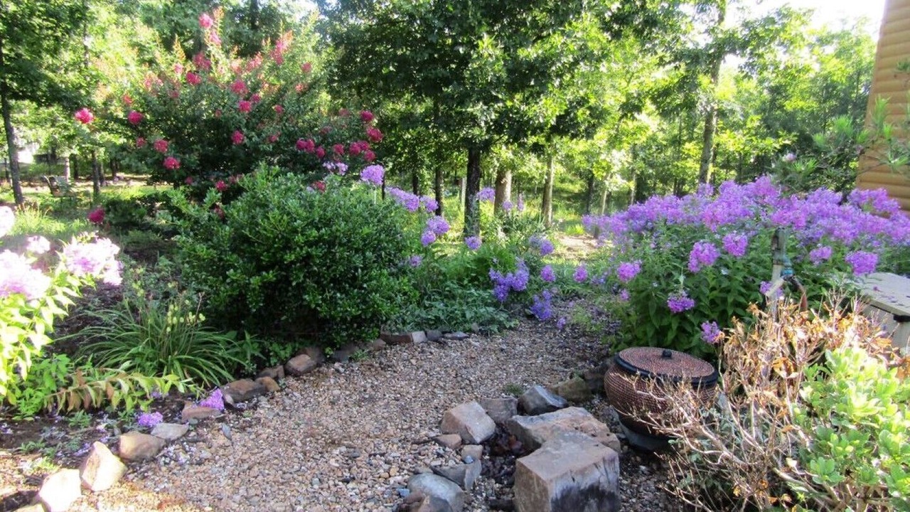Photo of Outdoor in Ferndale