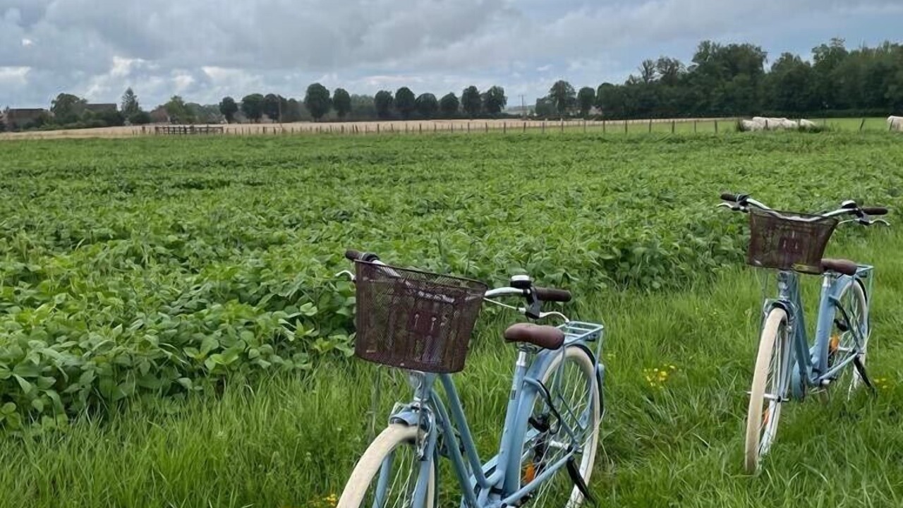 Photo of Outdoor in Quincerot