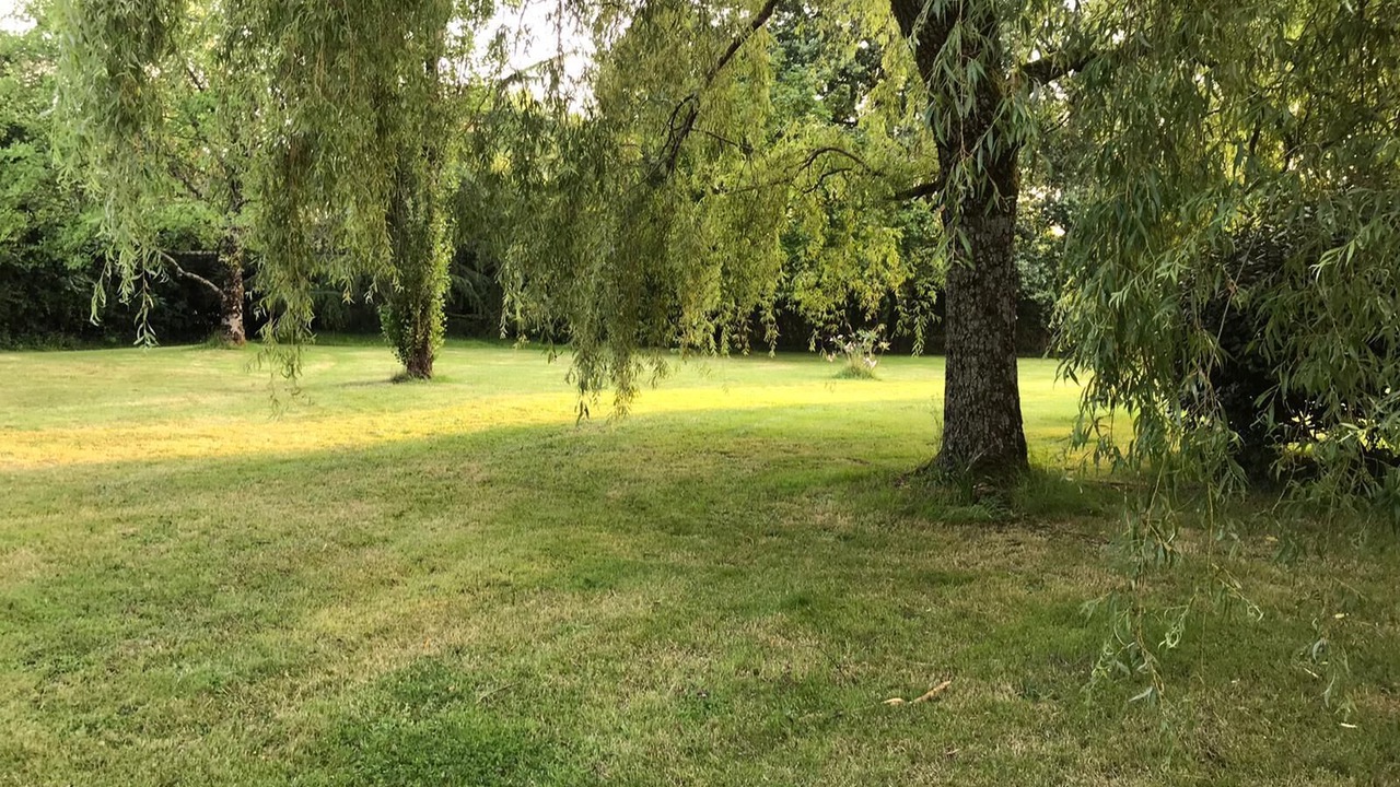 Photo of Others in Suaux