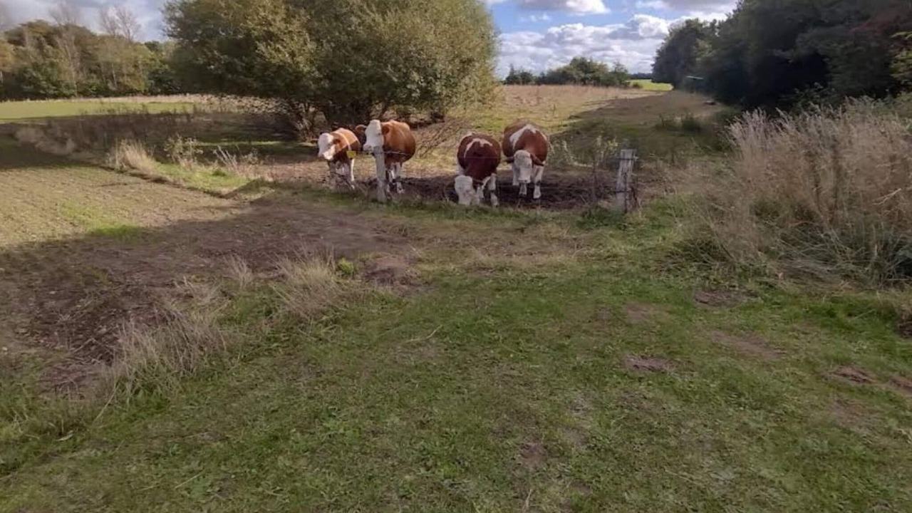Photo of Others in Dalby Huse
