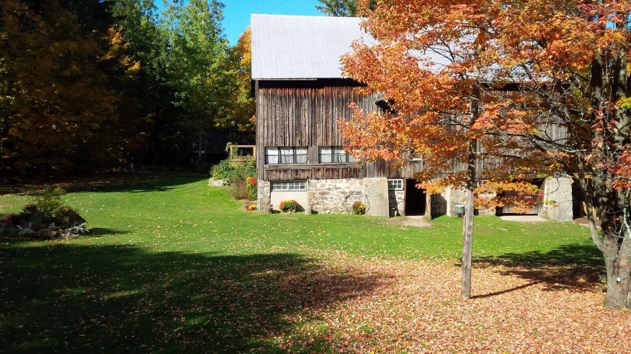 Photo of Outdoor in Oro-Medonte