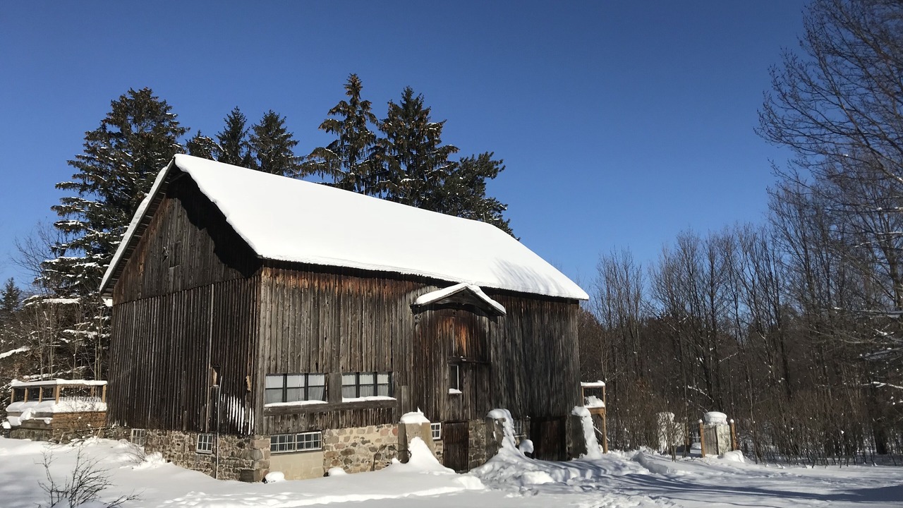 Photo of Outdoor in Oro-Medonte