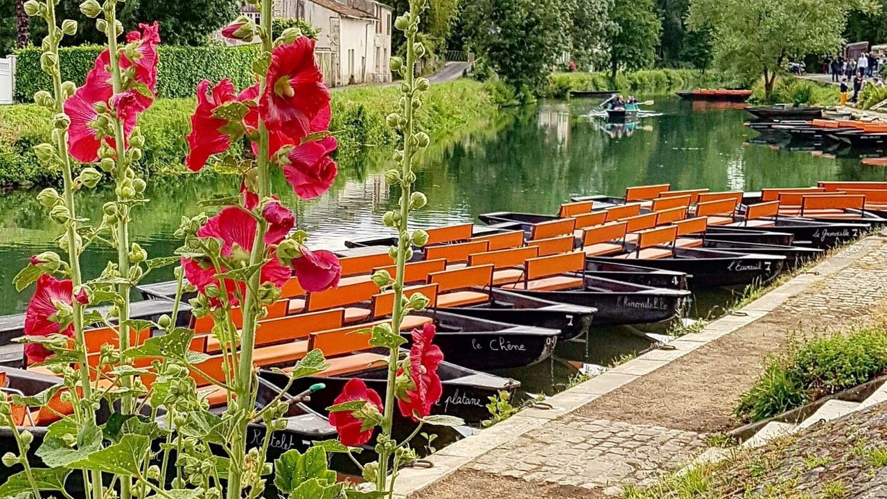Photo of Outdoor in Annezay