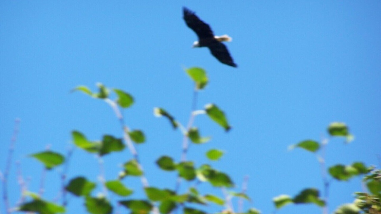 Photo of Others in Campobello Island