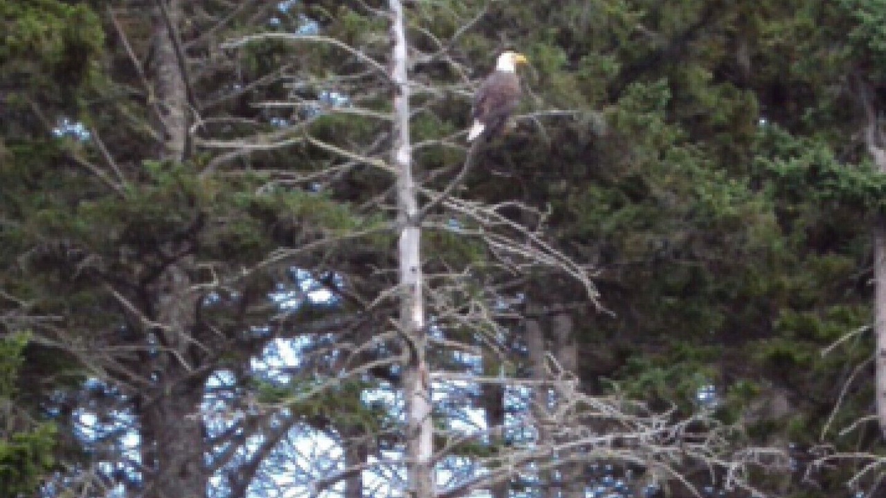 Photo of Others in Campobello Island