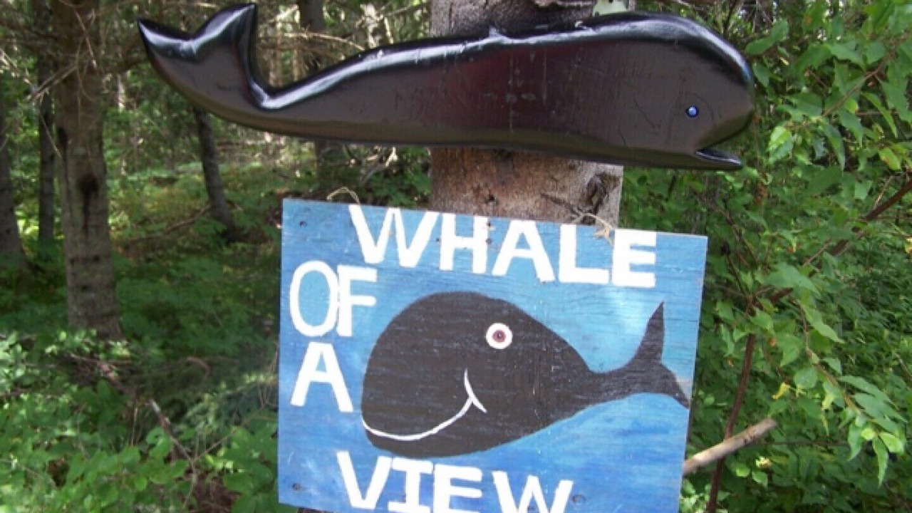 Photo of Others in Campobello Island