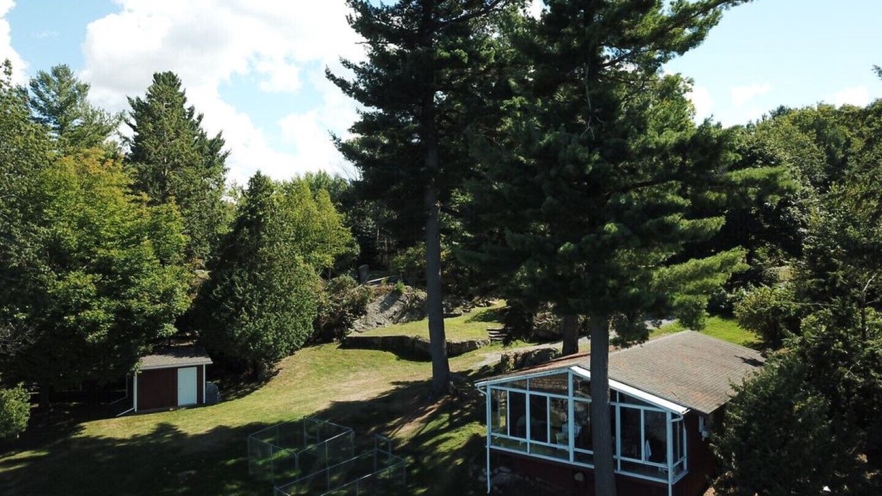 Photo of Outdoor in Alexandria Bay