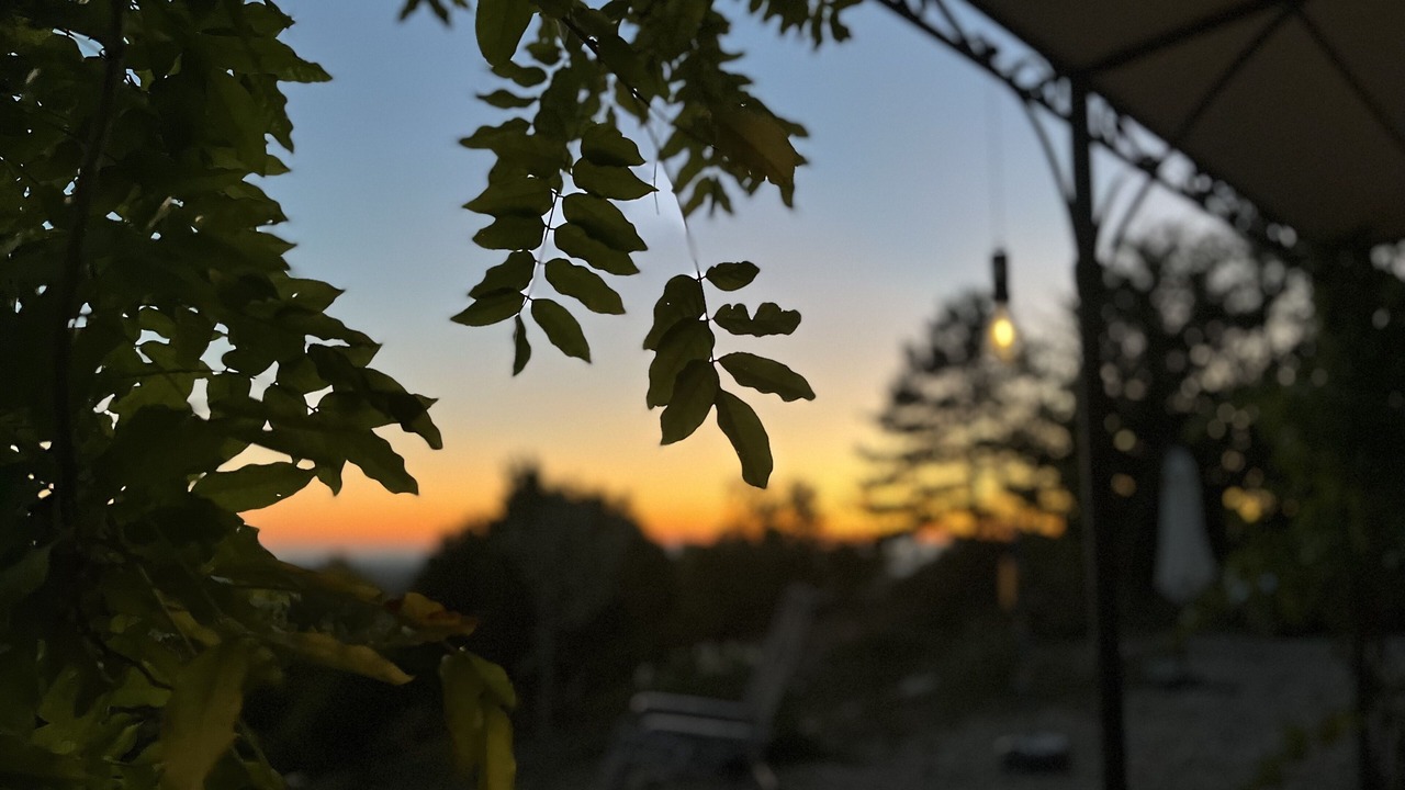 Photo of Outdoor in Saint-Jurs