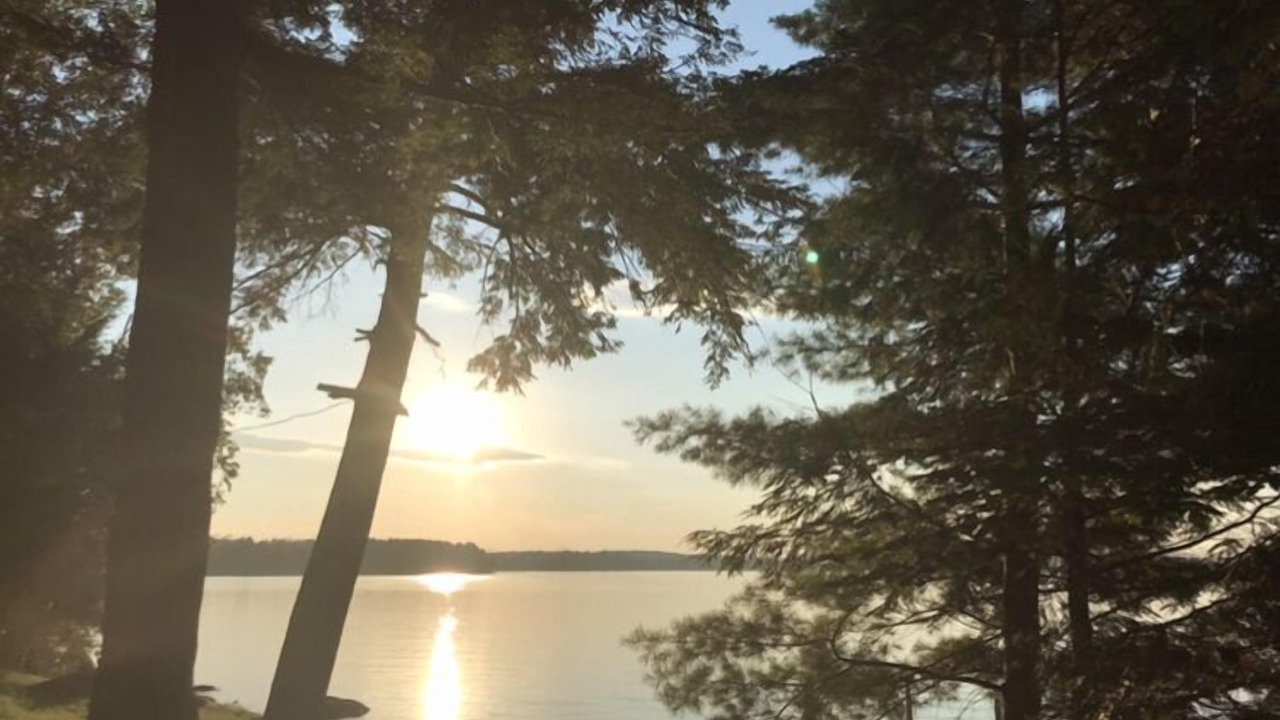 Photo of Others in Madison