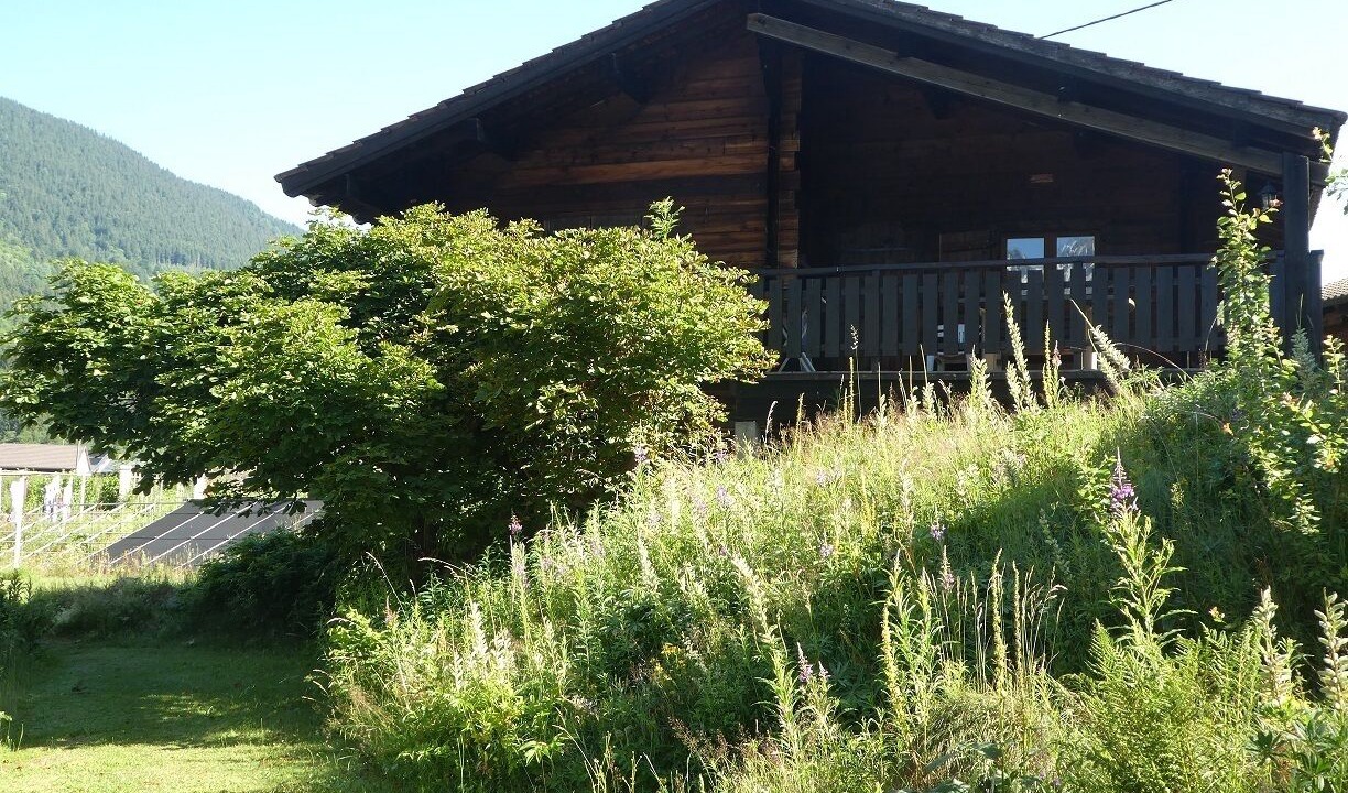 Photo of Outdoor in La Ferriere