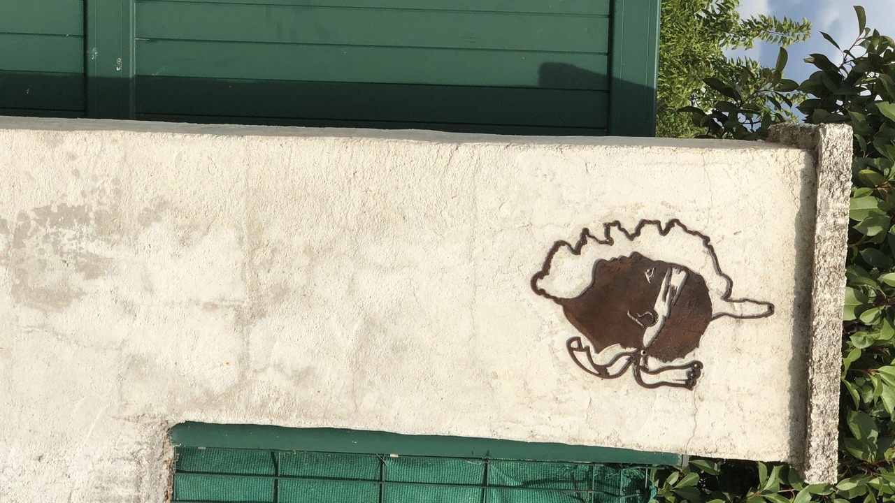 Photo of Outdoor in Valpaja