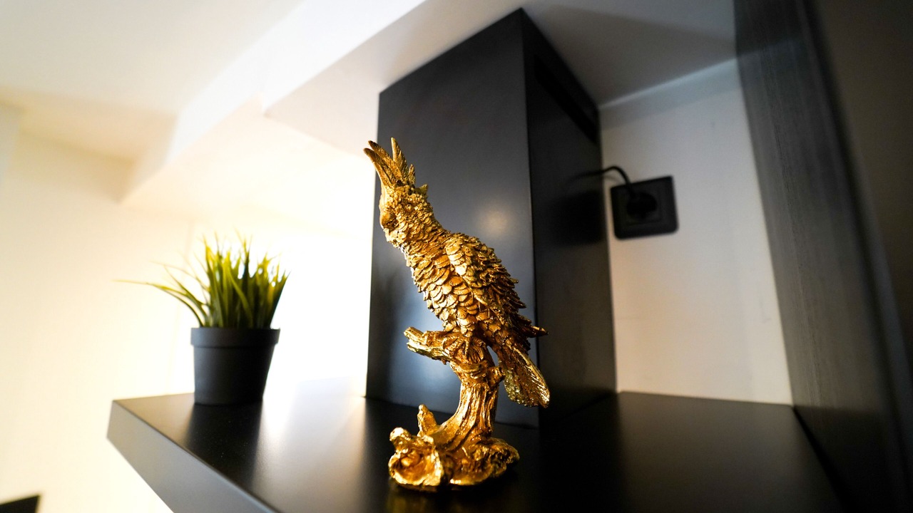 Photo of Others in Valenciennes