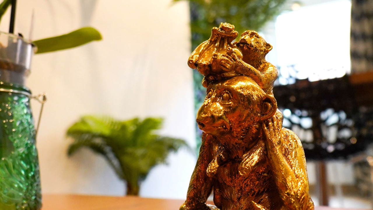 Photo of Others in Valenciennes