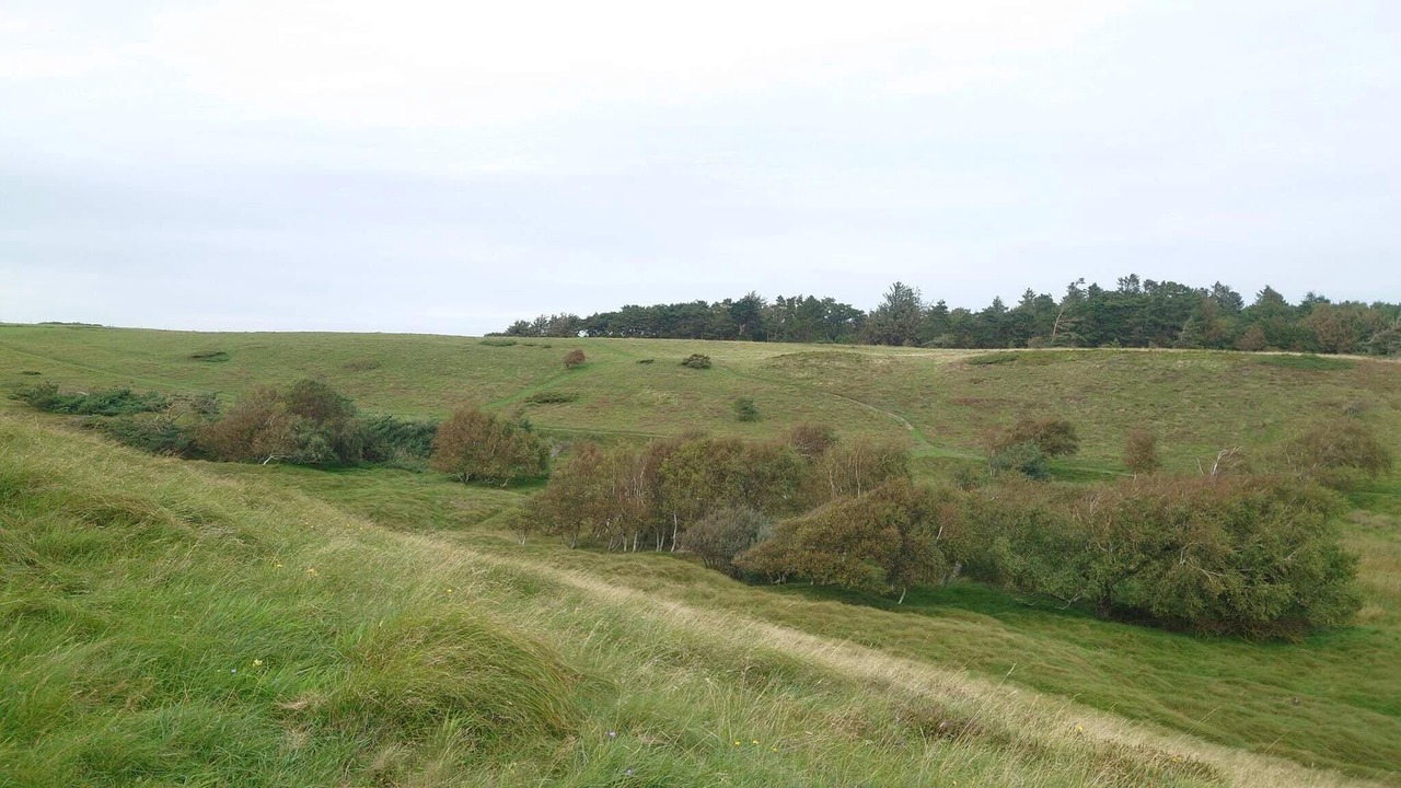 Photo of Others in Vejby