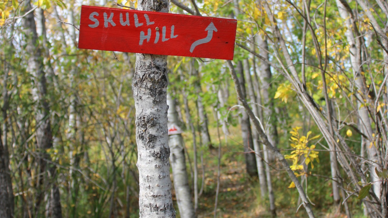 Photo of Outdoor in Gimli