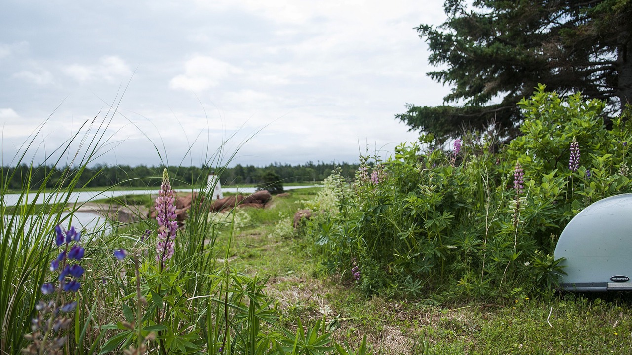 Photo of Outdoor in Brackley Beach