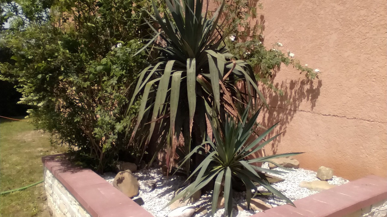 Photo of Outdoor in Pieusse