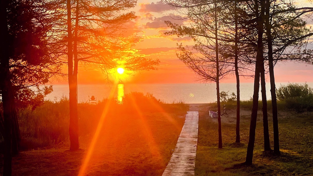 Photo of Outdoor in Ossineke