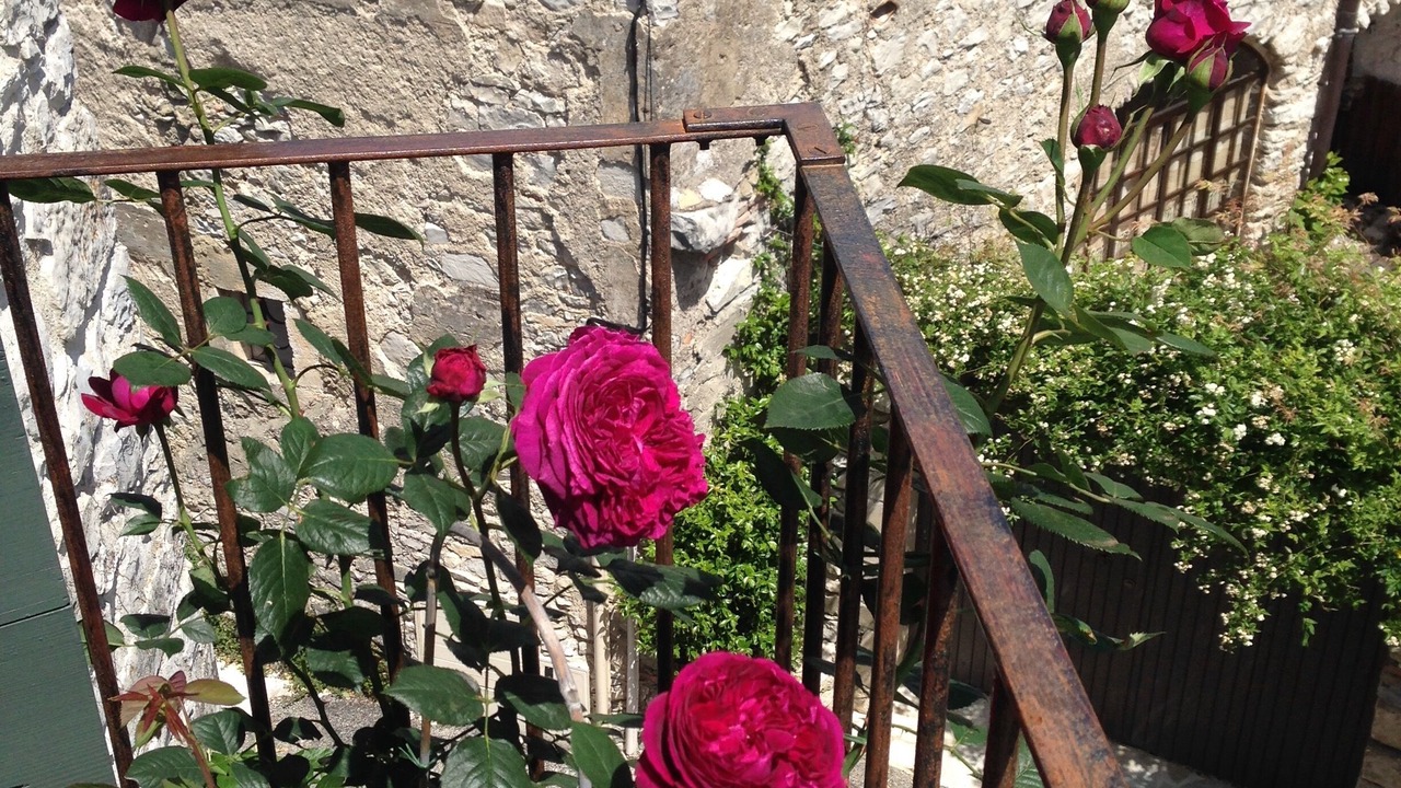 Photo of Outdoor in Fons-sur-Lussan