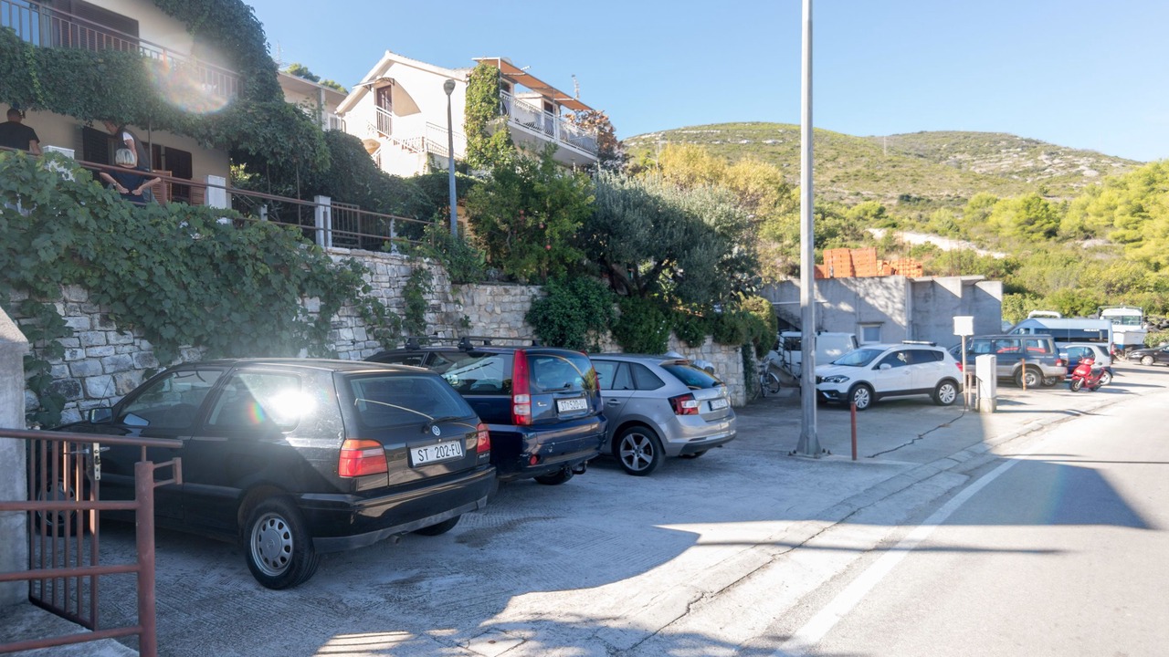 Photo of Others in Vis