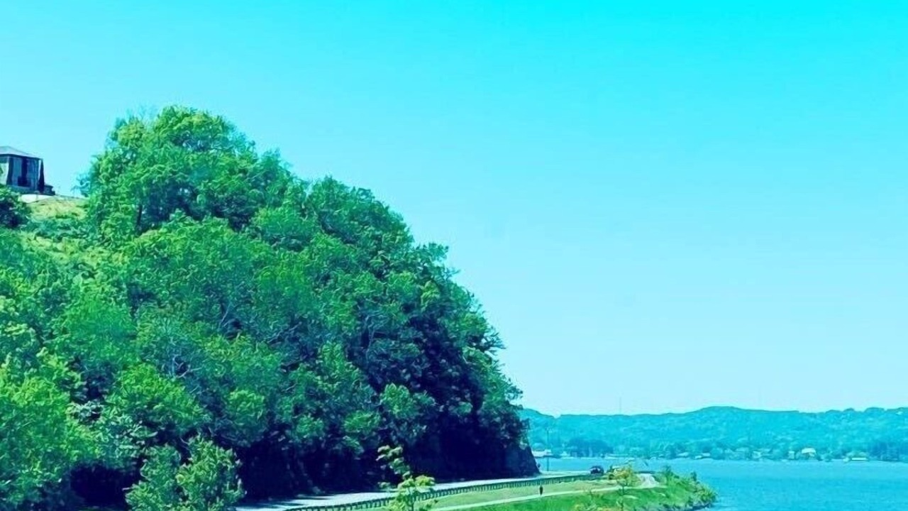 Photo of Others in Guntersville