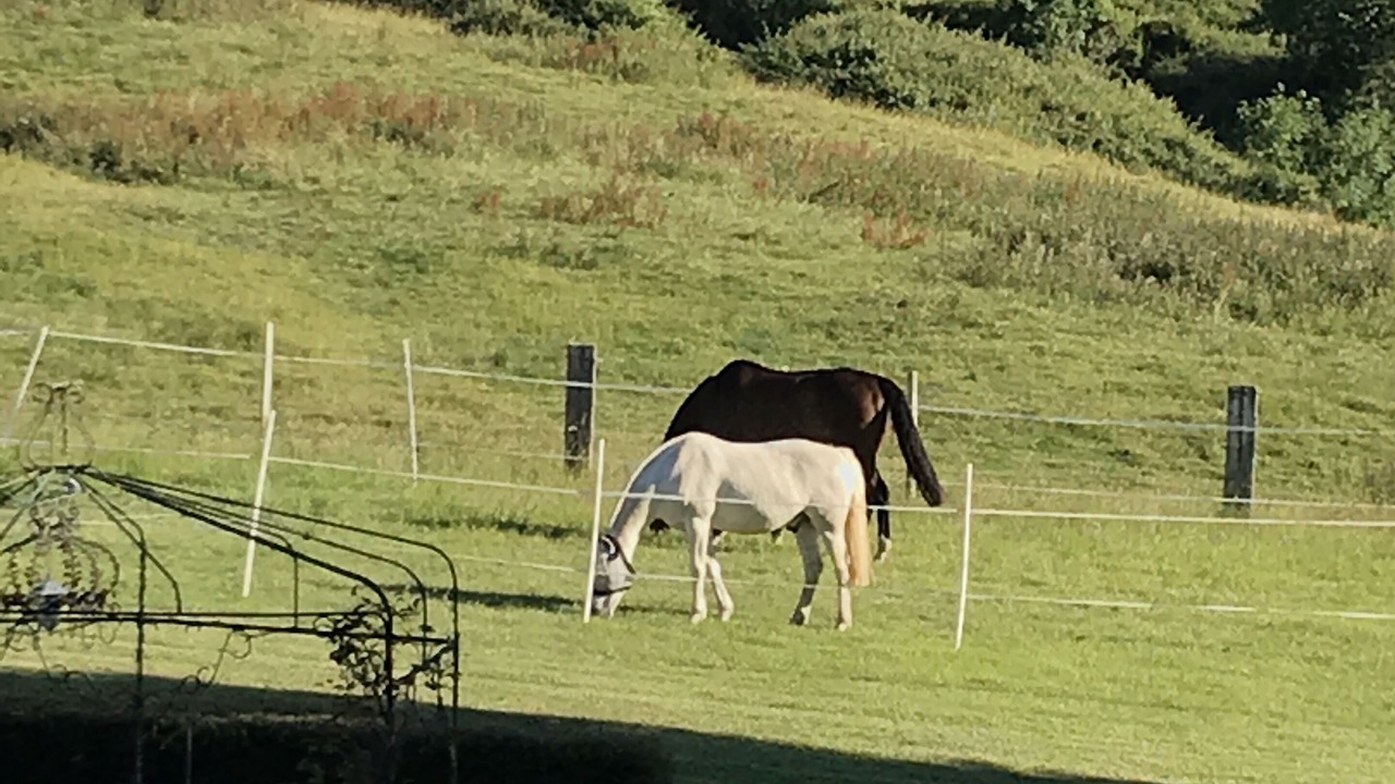 Photo of Outdoor in Boissey