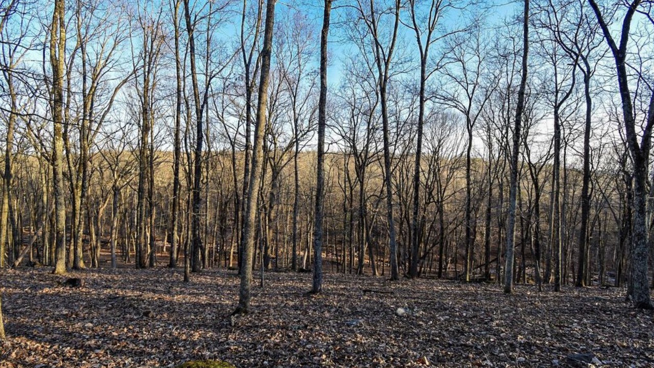 Photo of Others in Bushkill