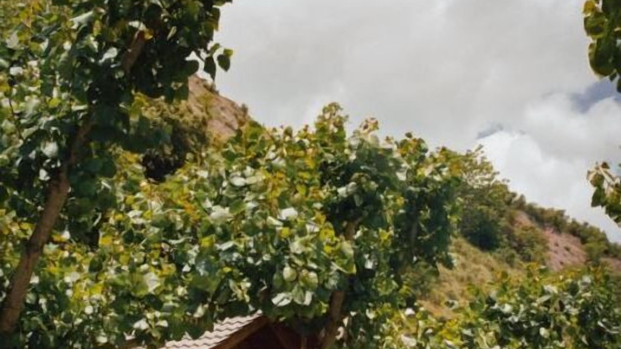 Photo of Others in Montardit de Baix
