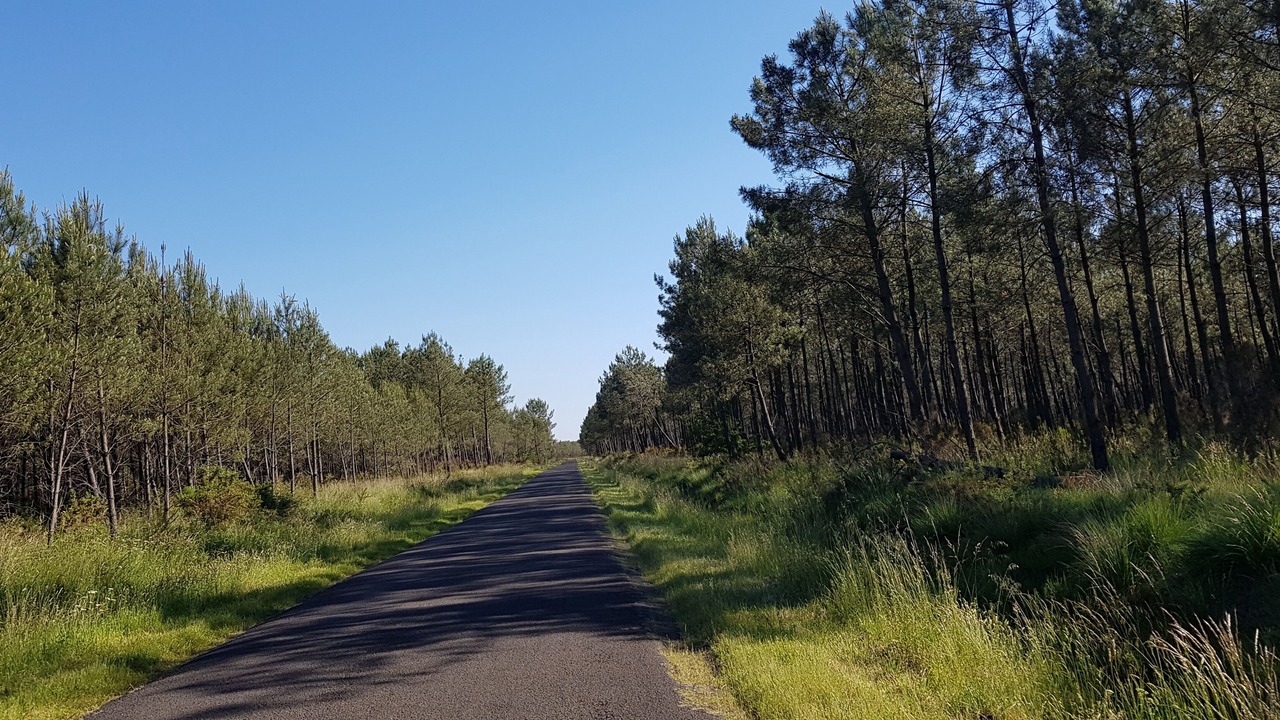 Photo of Outdoor in Vielle-Saint-Girons