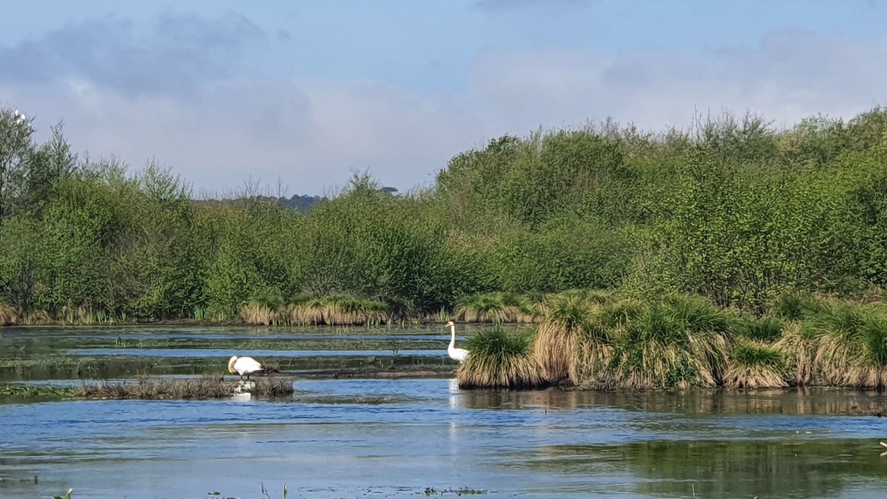 Photo of Others in Vielle-Saint-Girons