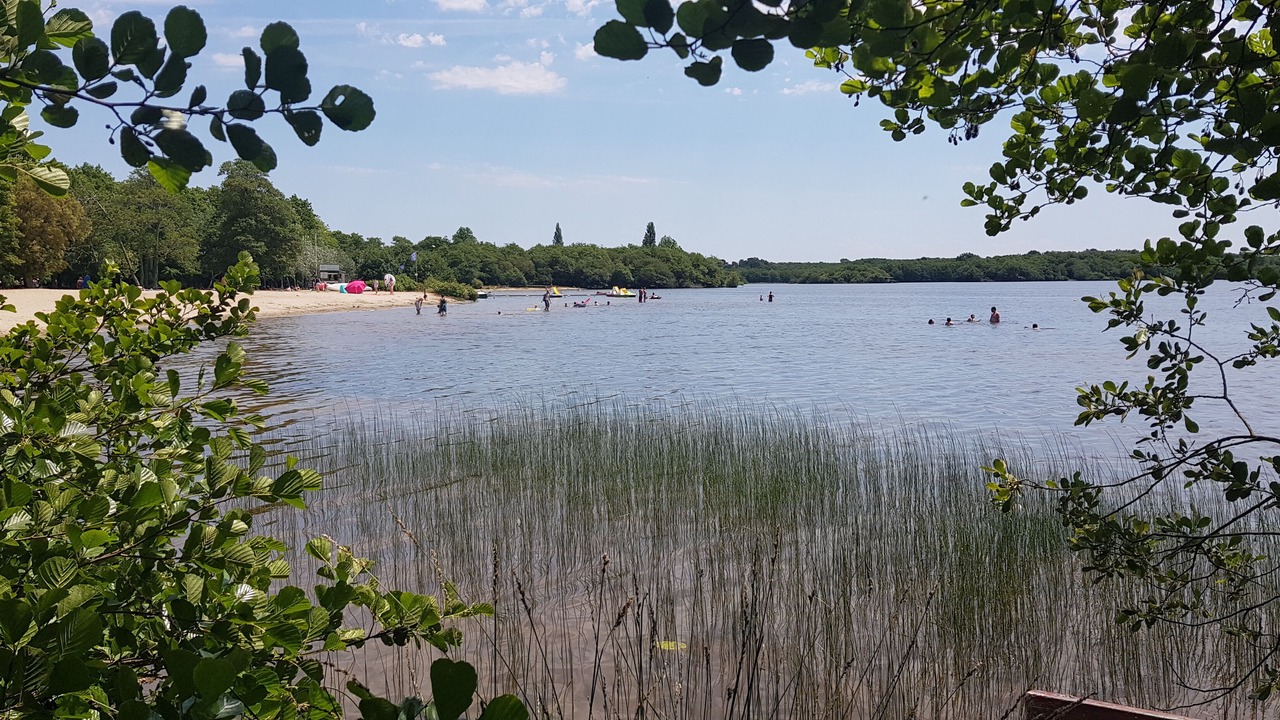 Photo of Outdoor in Vielle-Saint-Girons