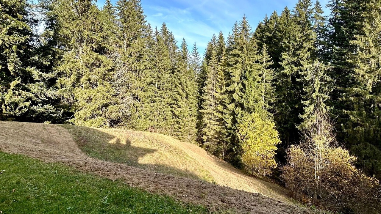 Photo of Others in Saanenmoeser