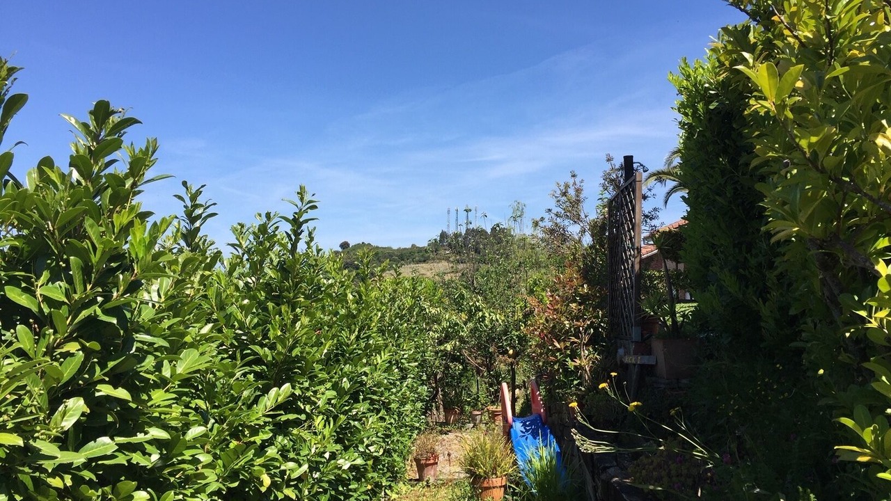 Photo of Outdoor in Limpias
