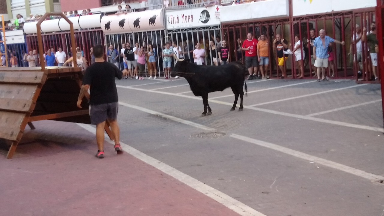 Photo of Others in Vergel