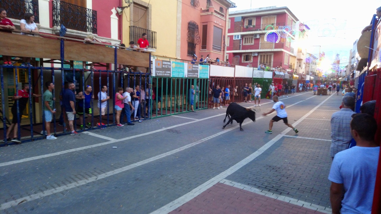 Photo of Others in Vergel