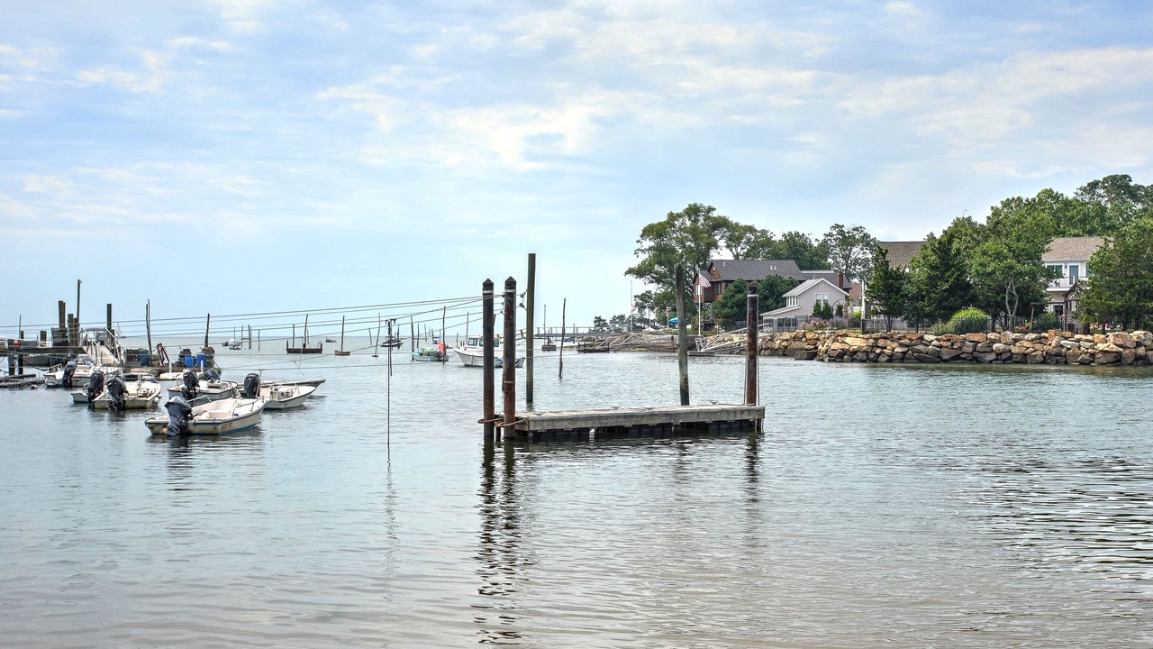 Photo of Outdoor in Branford